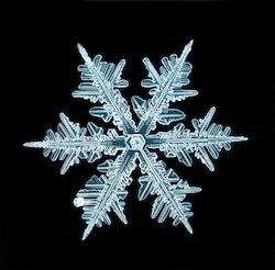 Snowflake Images, Famous Abstract Artists, Snowflakes Art, Geometry In Nature, Snowflake Photos, Organic Structure, Snow Crystal, Winter Mood, Crystal Snowflakes