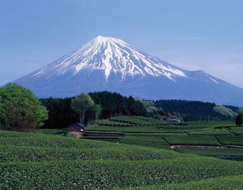 Gunung Fuji, Mount Fuji Japan, Japan Tourism, Fuji Japan, Japan Hotel, Fuji Mountain, Monte Fuji, Mont Fuji, Mt Fuji