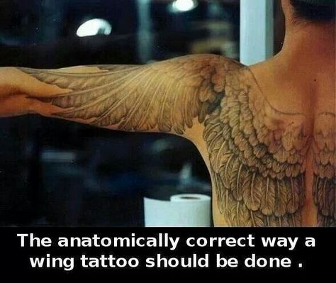 Anatomically correct wing tattoo Behind Blue Eyes, Tattoo Henna, Angel Wings Tattoo, Wing Tattoo, Celtic Tattoos, Wings Tattoo, Angel Tattoo, Skull Tattoos, Sleeve Tattoo