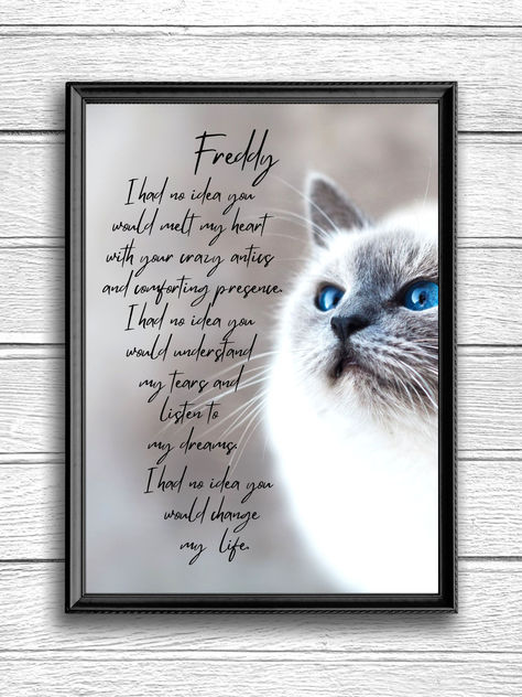 Do you need a special gift for a cat lover? I add my words to a photo of the precious cat!  This is a personalized gift from my Etsy shop: soulsunshinegiftshop.etsy.com

#PersonalizedCatGifts    #CustomCatGifts
#CatLoversGifts             #CatGifts
#PersonalizedPetGifts      #CatGiftIdeas
#CatThemedGifts   #PersonalizedCatItems
#CatMerchandise
#CustomCatProducts
#CatGiftForHer
#CatGiftForHim
#CatGiftIdeasForCatLovers
#CatLoverPresents
#CustomCatKeepsakes
#CatGiftPersonalized Personalized Cat Gifts, Cat Sympathy, Cat Memorial Gift, Pet Sympathy Cards, Condolence Messages, Personalized Pet Gifts, Cat Themed Gifts, Pet Sympathy, Cat Merchandise