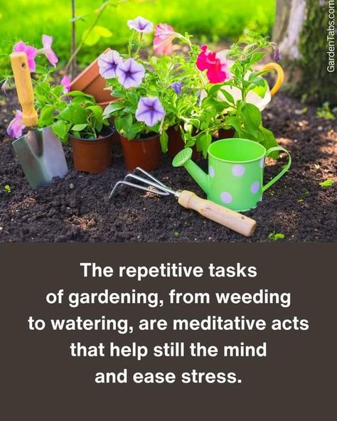 Gardening Memes, Garden Help, Weeding, Mindfulness, Humor, Memes, Humour