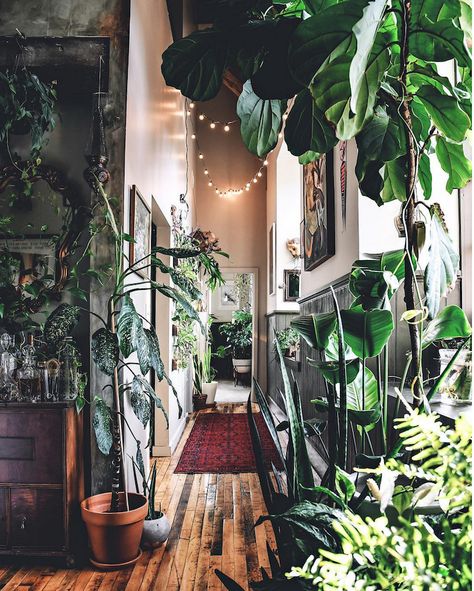 my scandinavian home: An incredible loft, filled with plants! Urban Jungle Interior, Tiny Balcony, Barbara Eden, Plant Room, نباتات منزلية, Bohemian House, Dekorasi Kamar Tidur, Gardening 101, Houseplants Indoor