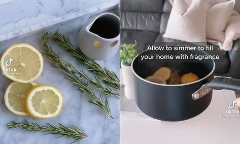 How to make your home smell like fancy homewares store William Sonoma | Daily Mail Online Smell Like Williams And Sonoma, House Smell Good, William Sonoma, Home Smell, House Smell, House Smells, Williams Sonoma, Smells Amazing, French Press