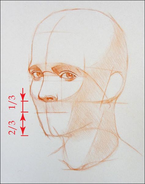 How to Draw a Portrait in Three Quarter View, Part 7 Where We Left Off, Realistic Eye Drawing, Portrait Drawings, 얼굴 그리기, Drawing Heads, Tutorials Drawing, Anatomy Drawing, Drawing Lessons, Art Website