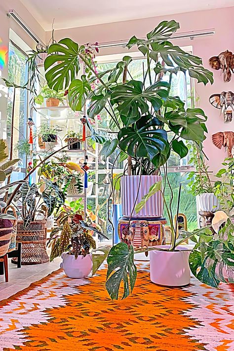 Plant Decor Living Room, Living Room Plants, Best Indoor Plants, Plant Decor Indoor, Bedroom Plants, Interior Plants, Plant Aesthetic, House Plants Decor, Room With Plants