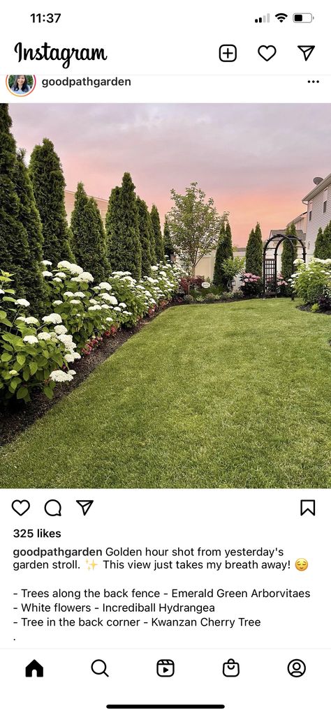 Bushes In Backyard, Yard With Privacy Trees, Landscaping Behind House, Landscape Ideas Craftsman Home, Backyard Landscaping Northeast, Landscape For Large Front Yard, Landscape Rectangular Backyard, Open Yard Landscaping, Front Yard With Driveway Landscaping