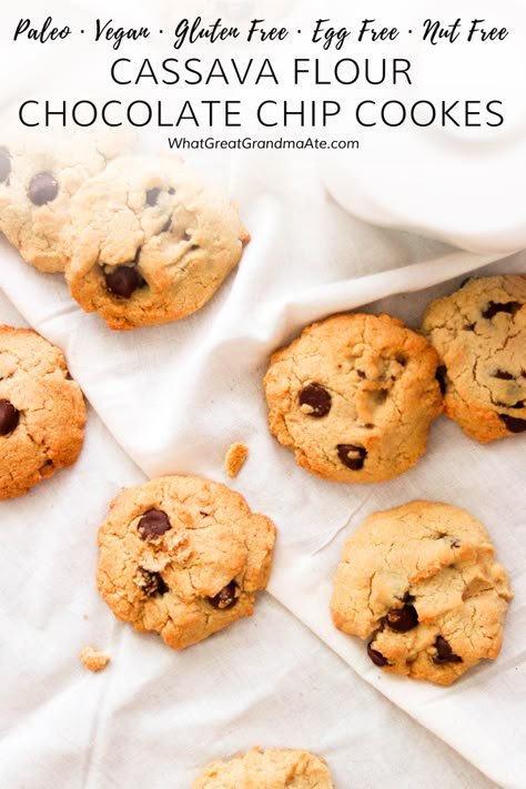 Don't let food allergies stop you from indulging in treats! These soft and chewy Nut-Free Cassava Flour Chocolate Chip Cookies are also paleo, vegan, gluten free, and egg free! #paleo #vegan #cookies #chocolatechipcookies #glutenfree #dairyfree #nutfree #eggfree #grainfree #paleodessert #vegandessert Egg Free Paleo, Cassava Flour Recipes, Aip Desserts, Grain Free Desserts, Paleo Cookies, Paleo Baking, Gluten Free Egg Free, Cassava Flour, Gluten Free Desserts Recipes