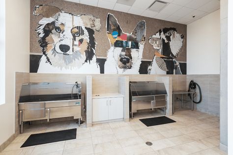 Pet Grooming Salon Ideas, Grooming Salon Ideas Design, Pet Grooming Station, Grooming Salon Ideas, Dog Grooming Salon Decor, Grooming Station, Denver Apartments, Pet Store Ideas, Dog Boarding Facility