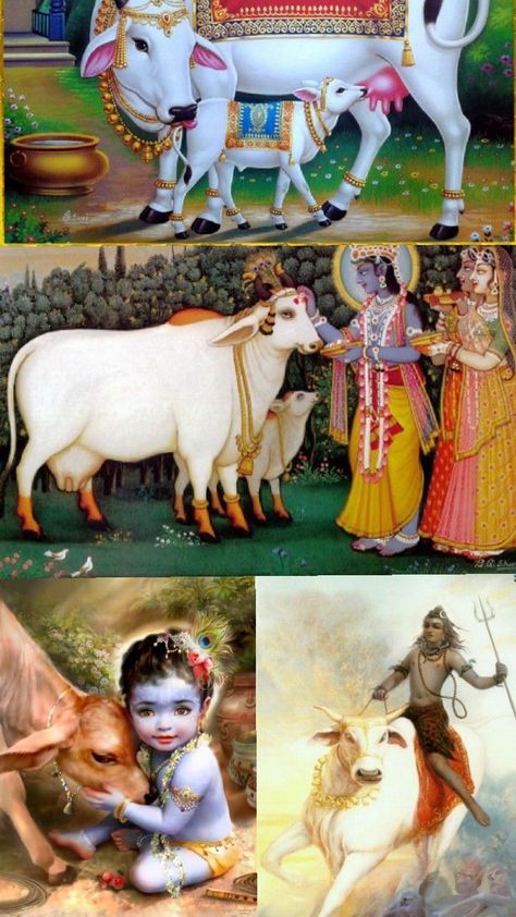 Har har mahadev 🌕 Har Har Mahadev, God Illustrations, Cow, Animals