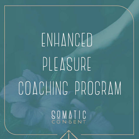 #Somatic #Consent has a system that guides you to engage with yourself and others on the richest and deepest level. They bring you into connection with your feelings and the sensations derived from your sense of touch in a transformative way-https://somaticconsent.com/programs/ Somatic Bodywork, Sense Of Touch, Coaching Program, Experience Design, Programming, Coaching, Sense, Education, Feelings