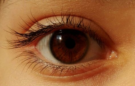 Cassidy Aesthetic, Dr Claims, Eye References, Stark Children, Eye Photos, Chloe Elizabeth, Brown Eyes Aesthetic, Pretty Brown Eyes, Brown Eye