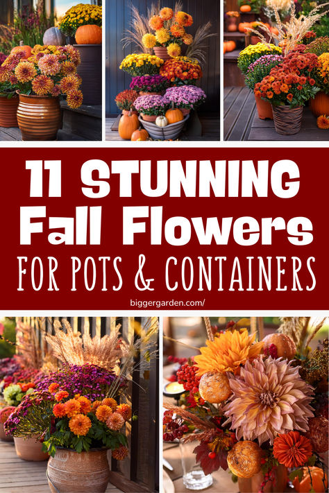 A display of vibrant fall floral arrangements featuring mums and pumpkins, perfect for Thanksgiving floral arrangements or autumn flower decorations. Thanksgiving Floral Arrangements, Flower Arranging Tutorial, Mini Bouquets, Bud Vases Flowers, Thanksgiving Floral, Thanksgiving Flowers, Ornamental Kale, Grow Flowers, Fall Flower Arrangements