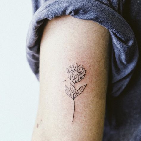 Protea Flower Tattoo, Protea Tattoo, Tattoo 2022, Tea Tattoo, Simple Heart Tattoos, Africa Tattoos, Brush Tattoo, Flower Tattoo Meanings, Native Tattoos