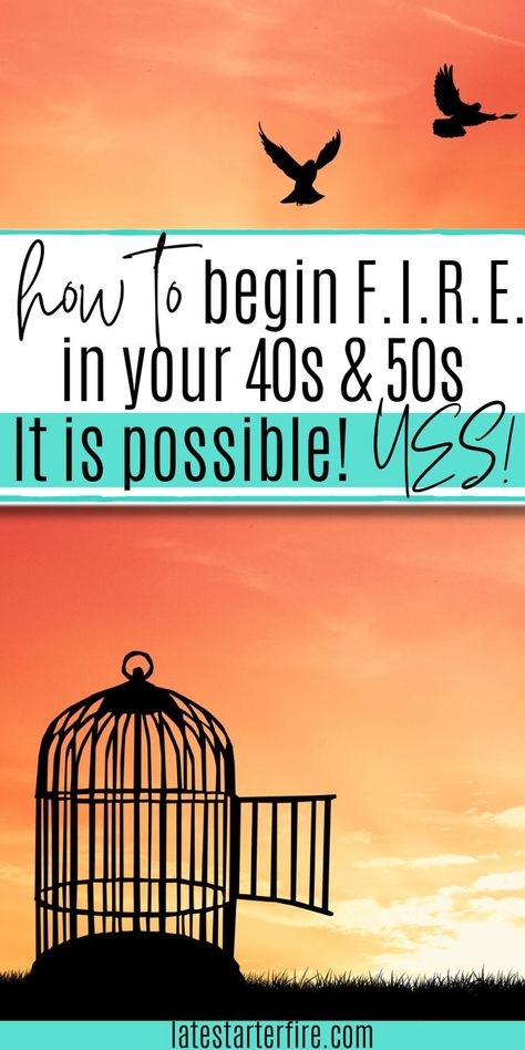 Fire Number, 59th Birthday Ideas, Emergency Funds, 59th Birthday, Financial Independence Retire Early, Retire Early, Creating Passive Income, The 40s, Out Of Debt