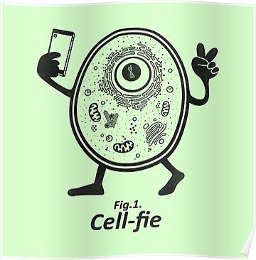 Cell-fie Poster Biology Memes, Biology Poster, Biology Humor, Biology Art, Science Nerd, Tee Designs, Cell Biology, Oversized Shirts, Science Jokes