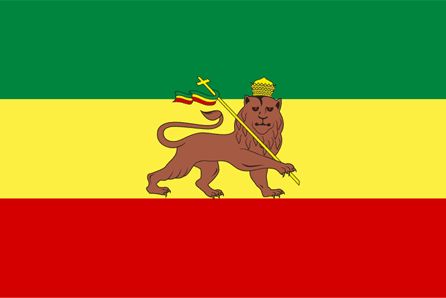 Ethiopian Flag, Ethiopia Flag, Rastafarian Culture, Dread Locks, Kenya Travel, Roots Reggae, Ethiopian Food, Haile Selassie, Africa Do Sul