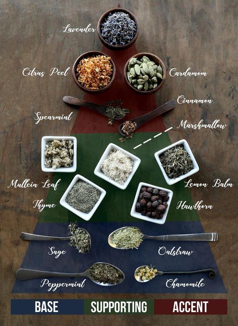 Guide to Tea Blending Tea Blending, Tea Blends Recipes, Magia Das Ervas, Homemade Tea, Herbal Teas Recipes, Herbal Drinks, Tea Diy, Herbal Recipes, Herbal Apothecary