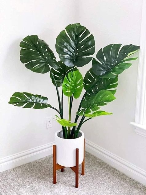 Faux Monstera Plant, Monstera Indoor Plant, Faux Tropical Plants, Fake Monstera Plant Decor, Monstera In Bedroom, Fake Plants Decor Living Rooms, Monstera Plant Indoor, Monstera Interior, Best Faux Plants