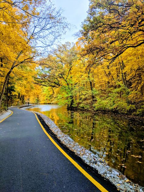 Augustana College, Rock Island, College Campus, Places Ive Been, Country Roads, Road