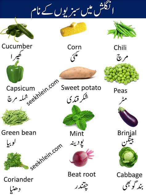 Here you are going to learn Vegetable Name In English And Urdu Vegetables Name, Kitchen English, Summer Vegetable Recipes, Urdu Vocabulary, Islamic Months, Word English, Corn Chili, Healthy Food Chart, Simple English Sentences