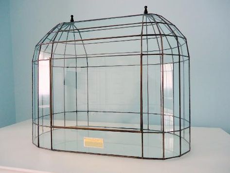 The Wardian Case Company Diy Wardian Case, Terrarium House, Wardian Case Terrariums, Cabinet Terrarium, Diy Wardian Case Terrarium, Antique Terrarium, Lantern Terrarium, Victorian Terrariums, Glass Coffin Terrarium