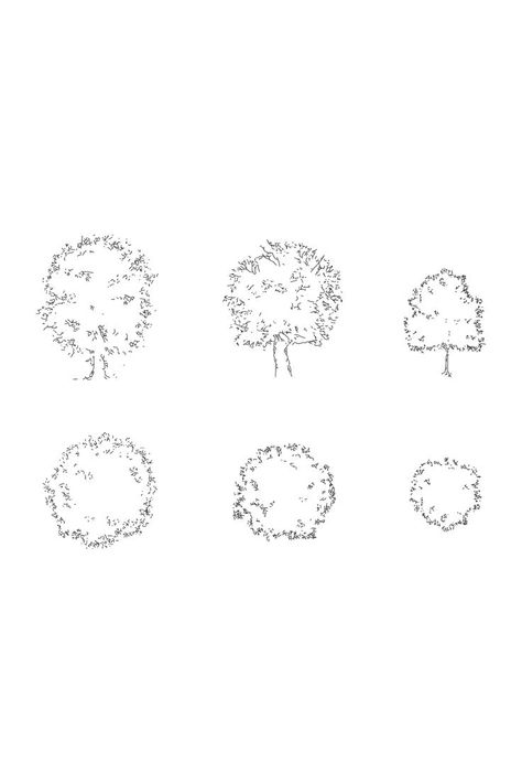 Tree Dwg, Morpholio Trace, Texture Sketch, Tree Blocks, Plan And Elevation, Block People, Tree Plan, Tree Textures, Plans Architecture