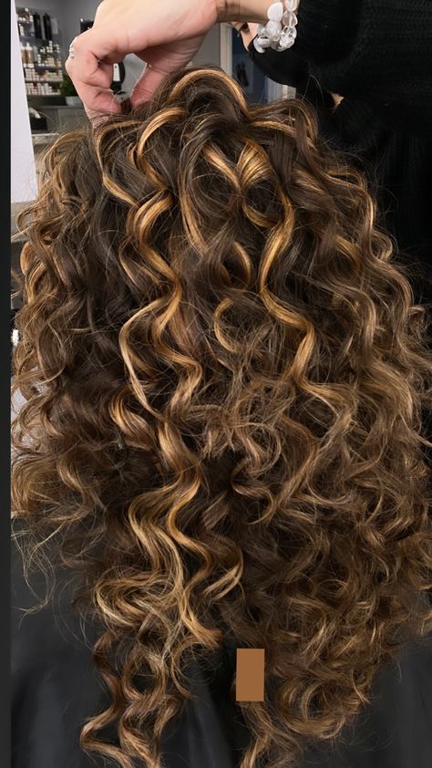 Natural texture curly hair with caramel highlights. IG: DIAStudioNJ Blonde Highlights Curly Hair, Dark Curly Hair, Dyed Curly Hair, Natural Curly Hair Cuts, Highlights Curly Hair, Hair Highlights And Lowlights, Brown Curly Hair, Curly Hair Photos, Brunette Hair With Highlights