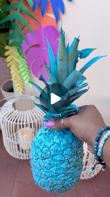 493 likes, 11 comments - brandhustle_reneerivera on August 18, 2023: "Happy weekend! Hope it’s filled with good vibes! . . . #backdrop #cultivatecreativity #socaleventplanner #island #tropical #cricut #cr..." Tropical Photo Backdrop Diy, Tropical Selfie Wall, Tropical Backdrop, Tropical Leaves Backdrop, Tropical Flower Photo Backdrop, Tropical Dj Booth, Happy Weekend, Good Vibes, The Creator