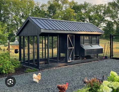 Modern Farmhouse Chicken Coop, Modern Chicken Coop Design, Meat Chicken Coop, Large Chicken Coop Ideas, Black Chicken Coop, Luxury Chicken Coop, Chicken Coop Building Plans, Cute Chicken Coops, Chicken Shed