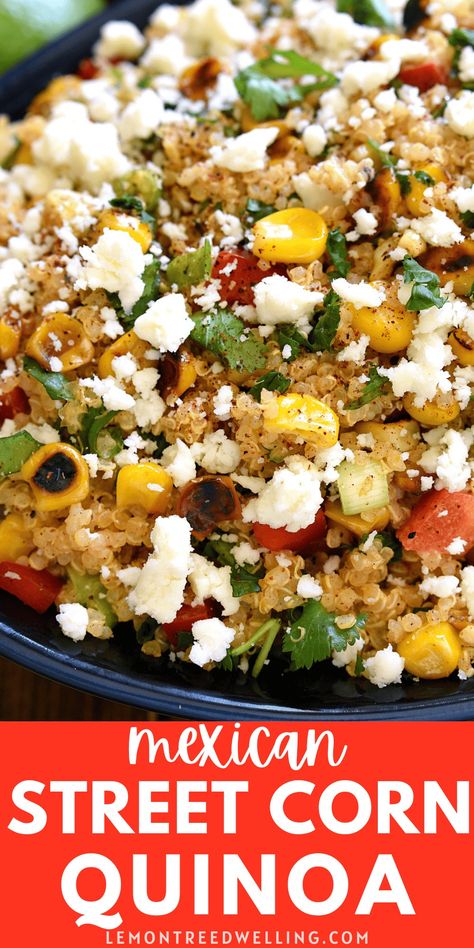 Mexican Street Corn Quinoa is a great way to jazz up a quinoa side dish! Loaded with the delicious flavors of Mexican Street Corn, this quinoa salad recipe is fresh, flavorful, and perfect for summer! Mexican Quinoa Recipes, Non Lettuce Salads, Fajita Side Dishes, Quinoa Recipes Side Dish, Chicken Quinoa Recipes, Quinoa Side, Street Corn Salad Recipe, Quinoa Side Dish, Mexican Street Corn Salad Recipe