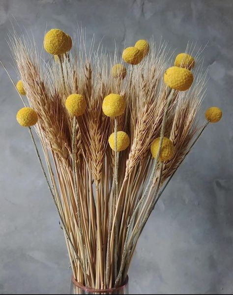 Wheat Floral Arrangements, Wheat In Vase, Wheat Grass Decor, Dried Wheat Decor, Wheat Arrangements, Wheat Decor, Wheat Bouquet, Wheat Decorations, Dried Floral Wreaths