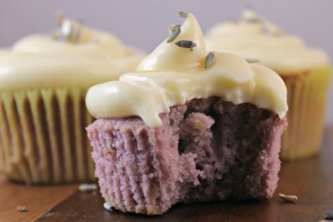 Check out our fan-submitted recipe featuring Local Hive Honey. Honey Cream Cheese, Coconut Cream Frosting, Lavender Cupcakes, Honey Cream, Lavender Recipes, Cream Cheese Frosting Recipe, Baking Basics, Cream Frosting, Frosting Recipes