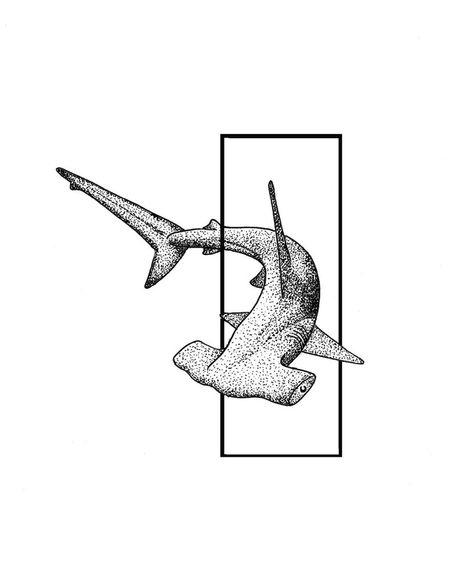 Hammerhead Tattoo, Hai Tattoo, Nature Tattoo Ideas, Hammerhead Shark Tattoo, Cool Nature, Animal Tattoo Ideas, Shark Drawing, Sea Tattoo, Nature Tattoo