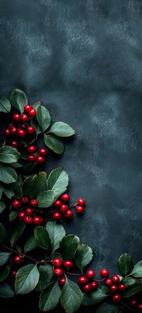 Christmas Flowers Wallpaper, Winter Flowers Wallpaper, Money Wallpaper Iphone, Aesthetic Walls, Xmas Wallpaper, Cute Christmas Wallpaper, Christmas Phone Wallpaper, Cool Backgrounds Wallpapers, Winter Nature