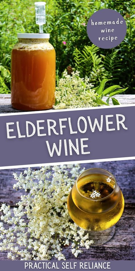 Elderflower Wine Recipe - If you are looking for a delicious and unique way to enjoy wine, why not try making your own elderflower wine at home? This homemade wine recipe is perfect for budding winemakers as it requires no special equipment and just a few ingredients. From foraging elderflower to fermenting the wine, this guide will teach you everything you need to know to turn those edible flowers into a delicious wine. Learn how to make wine at home today! Make Wine At Home, Making Wine From Grapes, Elderflower Wine, Elderflower Recipes, How To Make Wine, Wine Making Recipes, Homemade Wine Recipes, Elderberry Wine, Wine At Home