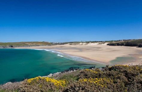 Crantock Beach | Cornwall Beaches Crantock Beach, Beach Cornwall, Counties Of England, Cornwall Cottages, Cornwall Beaches, Dog Friendly Beach, Cornish Coast, Beach Video, Beach Cars