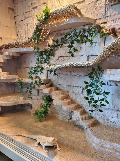 Lizard Enclosure Diy, Tank Ideas Reptile, Lizard Room Ideas, Reptile Room Ideas Diy, Built In Reptile Enclosure, Reptile Cabinet Diy, Tall Bearded Dragon Enclosure, Reptile Terrarium Ideas Diy, Beard Dragon Terrarium