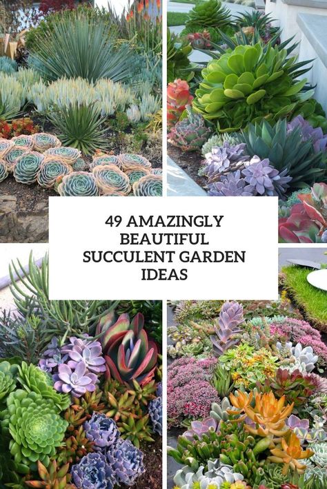 Succulent Landscaping Front Yard, Succulent Garden Ideas, Succulent Garden Outdoor, Cactus Garden Landscaping, Garden Edge, Succulent Rock Garden, Edge Ideas, Edging Stones, Succulent Garden Landscape