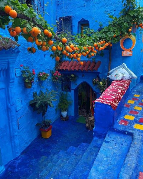 Blue City Morocco, Surf Morocco, Arizona Decor, Moroccan Aesthetic, Marrakech Travel, No Filter Needed, Arab Culture, Tag Friends, Blue City