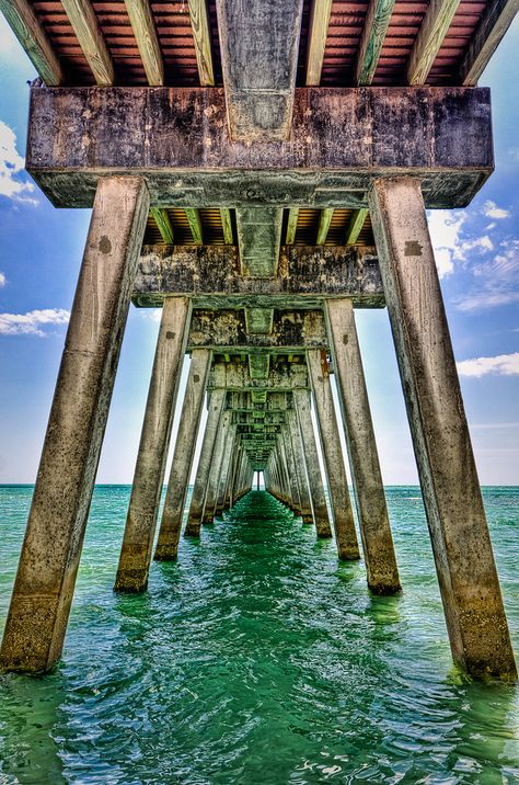 photo Under The Boardwalk, Sharks Teeth, Under Sea, Wow Photo, Venice Florida, Salt Water Fishing, Fishing Pier, Fort Myers Beach, Pier Fishing