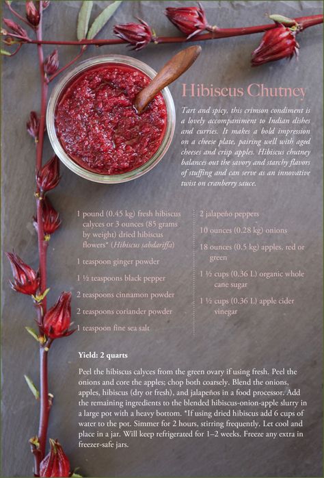 Flavonoid-Rich Hibiscus Chutney Hibiscus Flower Recipes, Hibiscus Recipes, Hibiscus Recipe, Dried Hibiscus Flowers, Nigerian Recipes, Unique Food, Chutney Recipe, Herbal Recipes, Christmas Menu