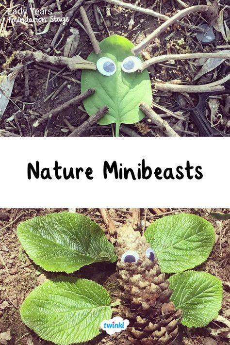 Can the children create different minibeasts out of nature and natural materials? A great minibeast eyfs activity! Thanks to @emilysclassroom_1 Minibeast Activities Eyfs, Insects Eyfs Activities, Eyfs Minibeasts Activities, Mini Beasts Eyfs, Forest School Activities Eyfs, Minibeasts Eyfs Activities, Eyfs Minibeasts, Minibeast Art, Communication And Language Activities