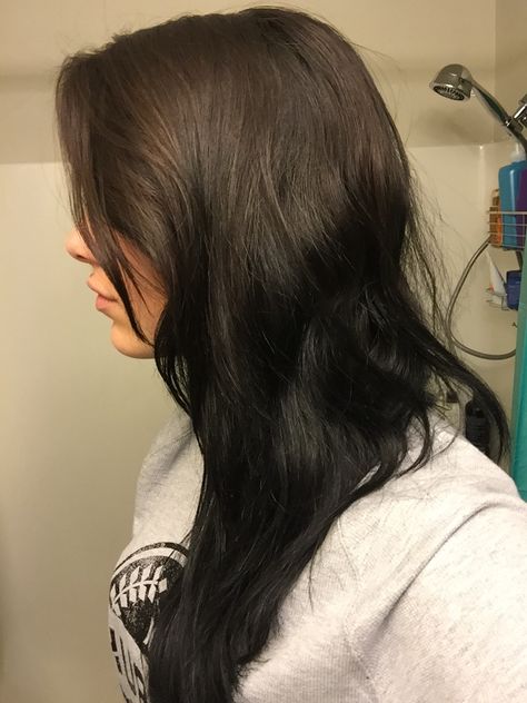 Subtle reverse ombre, natural brown to black Grown Out Black Hair, Brown On Top Black On Bottom Hair, Black Hair Faded Into Brown, Brown Black Hair Dye, Brown To Black Hair Ombre, Hair With Black Ends, Ombre Hair Brown To Black, Black Hair Faded Into Blonde, Black Roots Brunette Hair