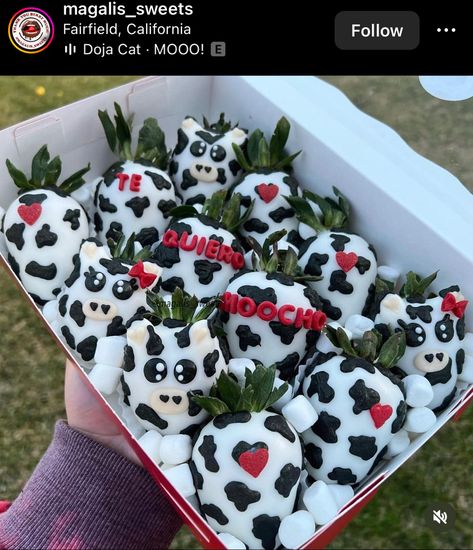 Te Quiero Moo Cho Strawberries, Cow Theme Strawberries, Farm Theme Strawberries, Cow Strawberries, Cow Print Strawberries, Cow Print Chocolate Covered Strawberries, Cow Chocolate Covered Strawberries, Cow Theme Chocolate Covered Strawberries, Western Chocolate Covered Strawberries