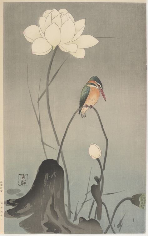 Kingfisher on lotus Lotus Artwork, Japanese Traditional Art, Lotus Flower Art, Harvard Art Museum, Ohara Koson, Traditional Japanese Art, William Turner, Eastern Art, Japanese Woodblock Printing