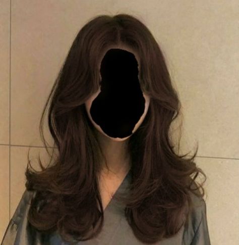 Long Layer Curtain Bangs Brown Hair, Layered Aesthetic Hair, Butterfly Haircut 2022 Long, Aesthetic Layered Hair, Butterfly Layers Hair, Skunk Hair Wolf Cut, Butterfly Haircut Straight Hair, Wolf Cut Medium Hair, Butterfly Layers Haircut