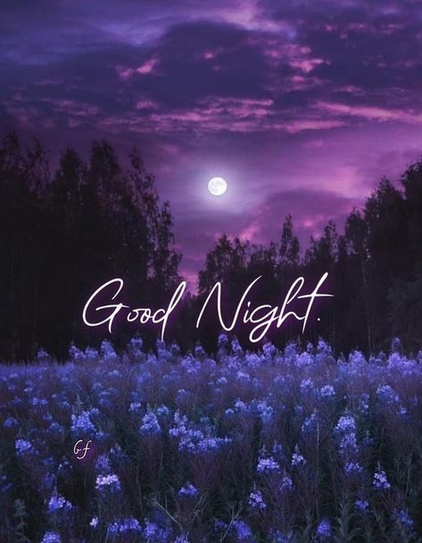 Goid Night, Romantic Good Night Image, Good Night Qoutes, New Year Wishes Images, Good Night Love Quotes, Good Night Love Messages, Good Night Flowers, Good Night Love Images, Happy New Year Images