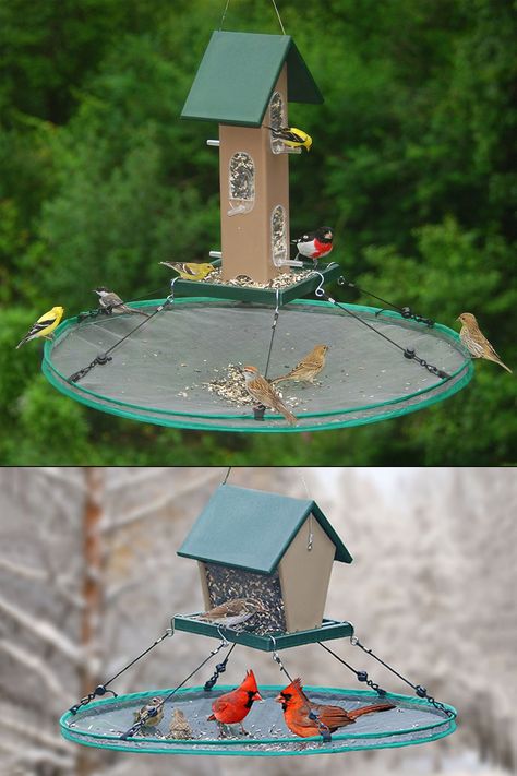 Memorial Bird Feeder, Seed Catcher For Bird Feeder, Under Bird Feeder Ideas, Cat Proof Bird Feeder, Bird Seed Catcher Diy, Bird Seed Catcher, Bird Feeder Station Ideas, Hanging Birdbath, Ground Bird Feeder