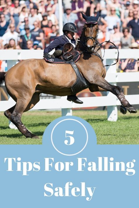 Tips for Falling Safely Show me an equestrian that hasn't fallen once and I would not believe you! We ALL fall. At least once… Especially during the first two years of riding falling is almost unavoidable.. Experienced riders fall too! Most often with a horse.. So is there a way to fall safely? Can you protect yourself from injuries when falling? The answer is Horse Safety, Equestrian Tips, Horse Hacks, Horseback Riding Tips, Pig Care, Pig Toys, Leopard Geckos, Horse Info, Horse Riding Tips