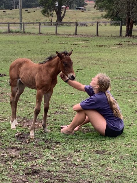 Foal Aesthetic, Ffa Aesthetic, Horse Bonding, Horse Shoot, Country Gal, Cute Horse Pictures, Farm Lifestyle, Farm Baby, Ranch Life